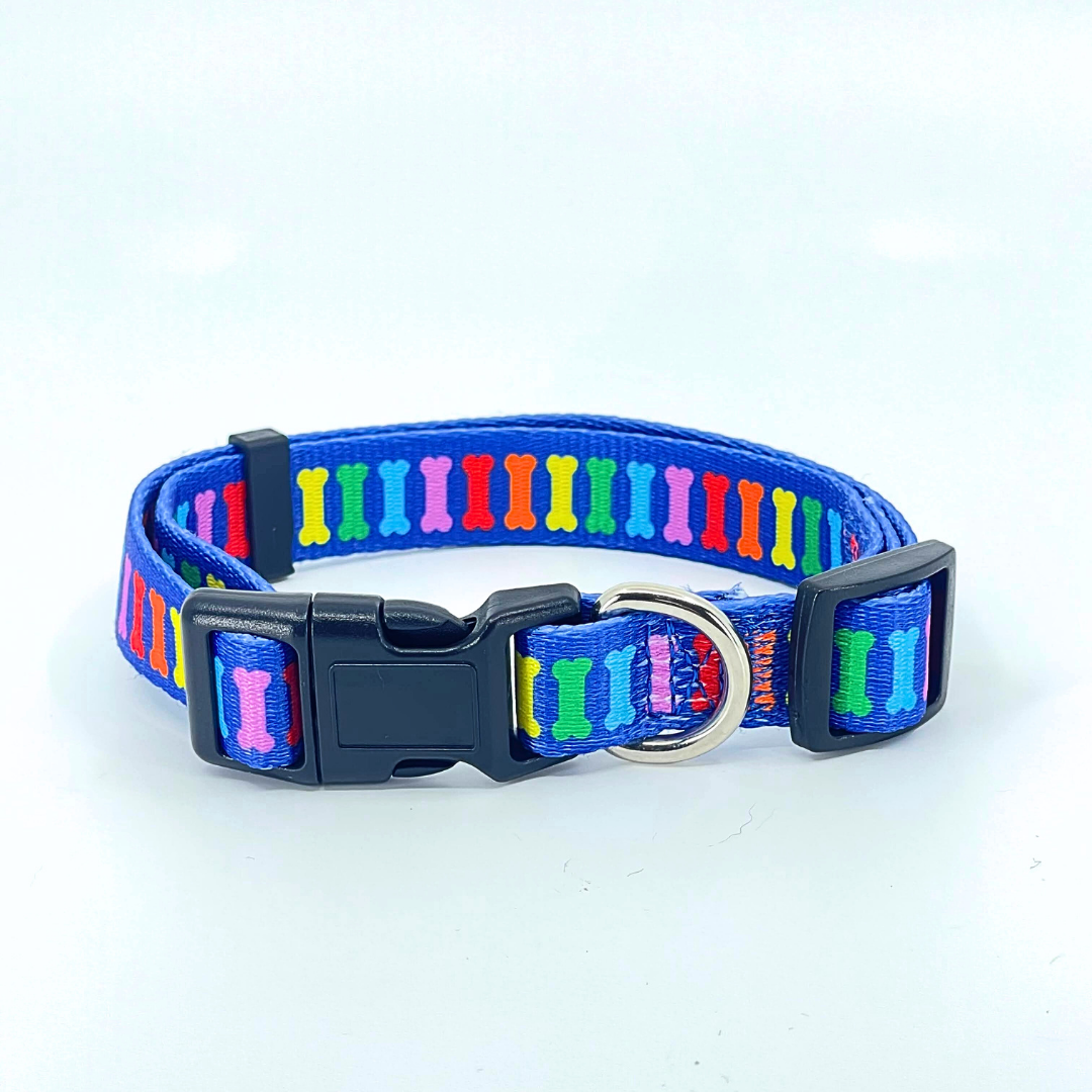 Rainbow Multi Bones Dog Collar