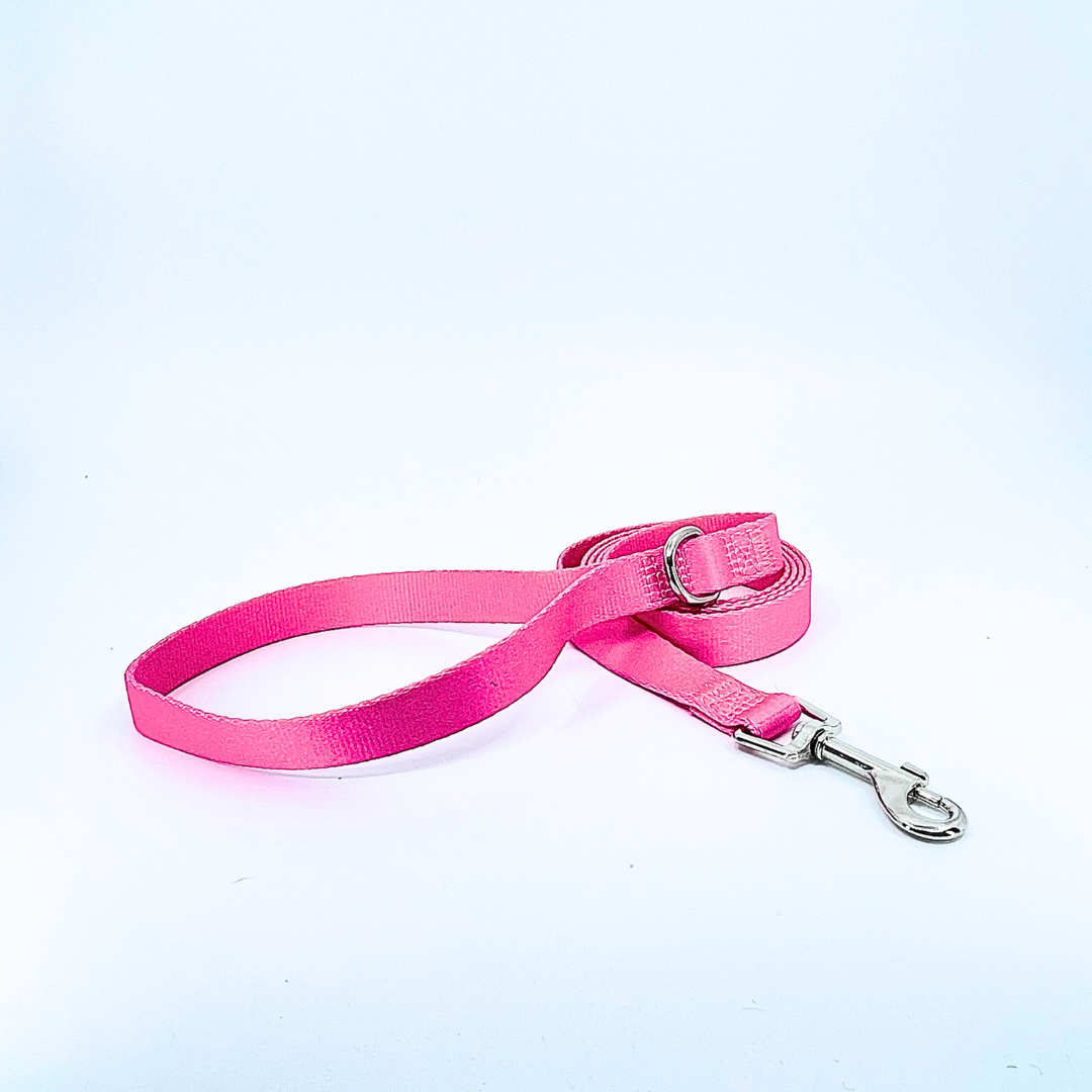 Pink Dog Leash