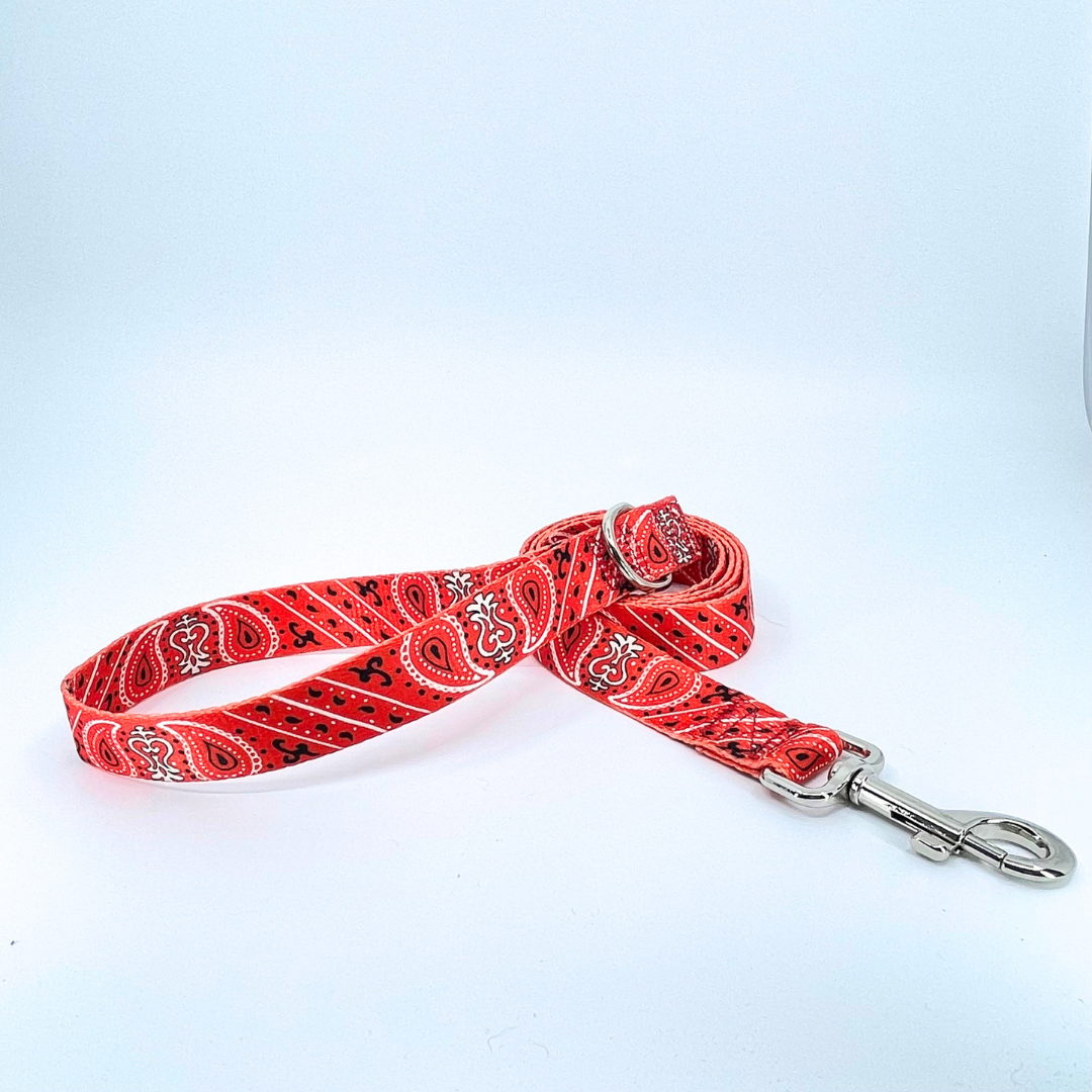 Red Bandana Dog Leash