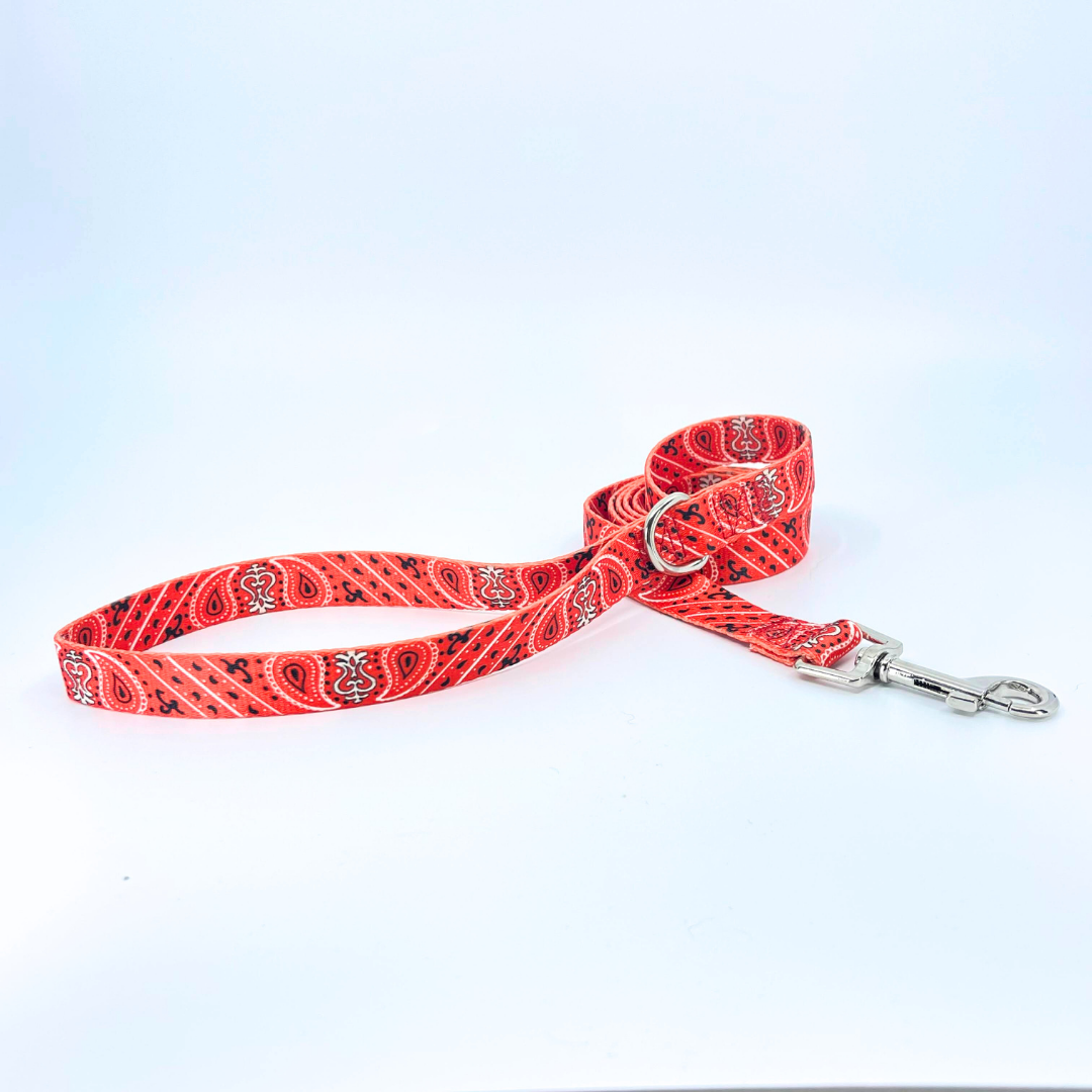 Red Bandana Dog Leash