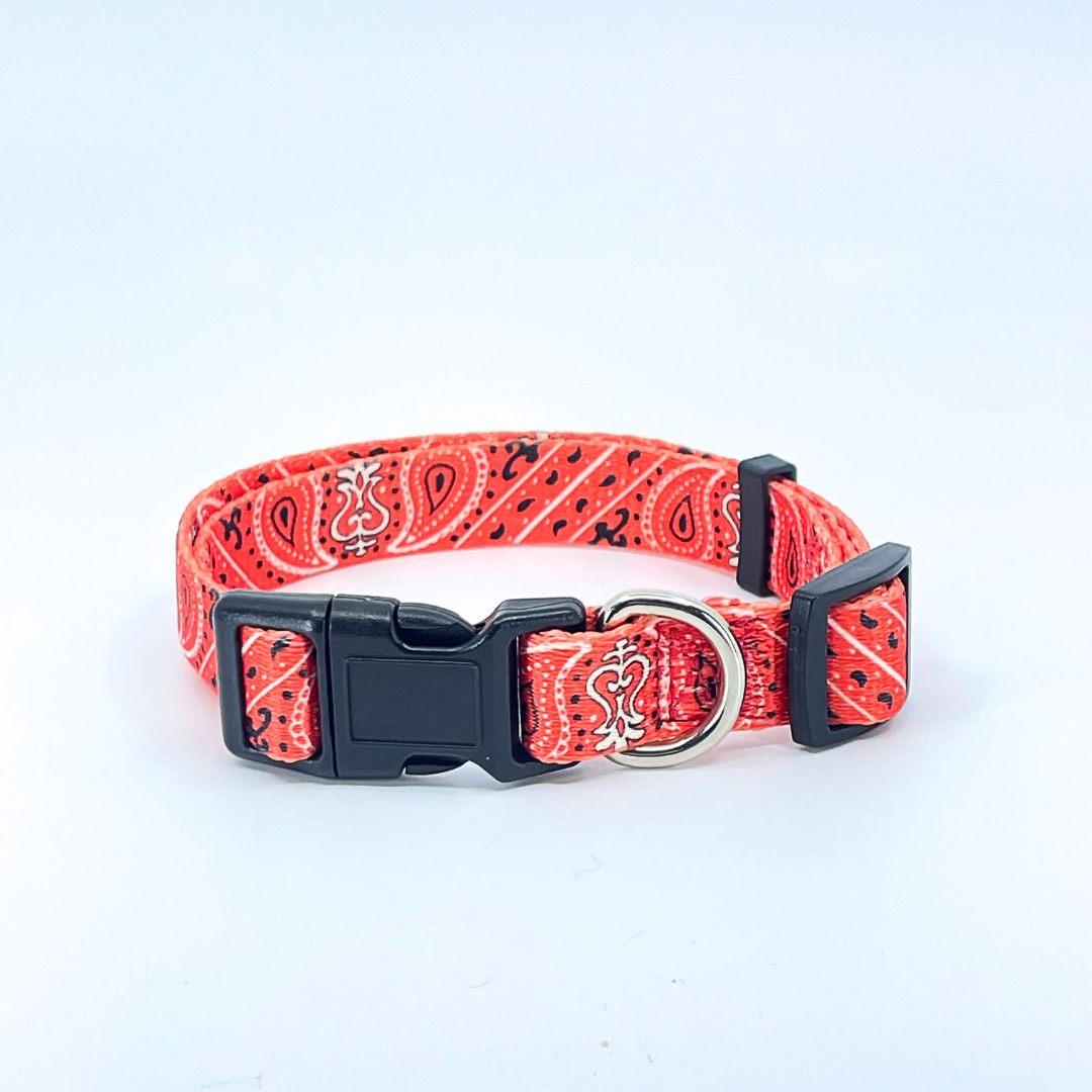 Red Bandana Dog Collar